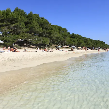 酒店 贝拉海滩spa酒店