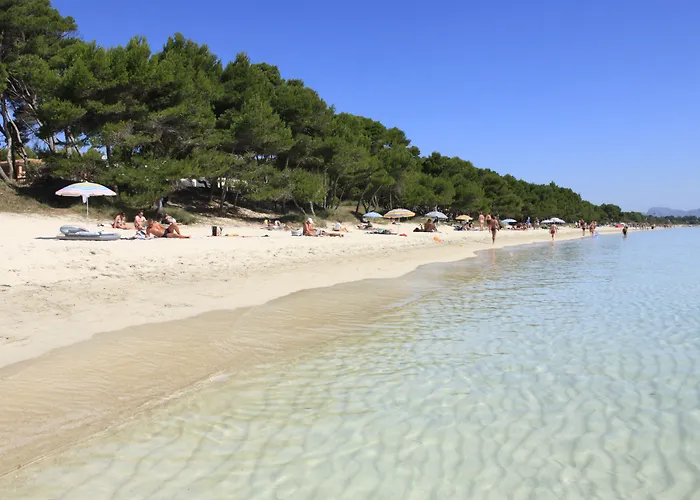 فندق Bella Playa &